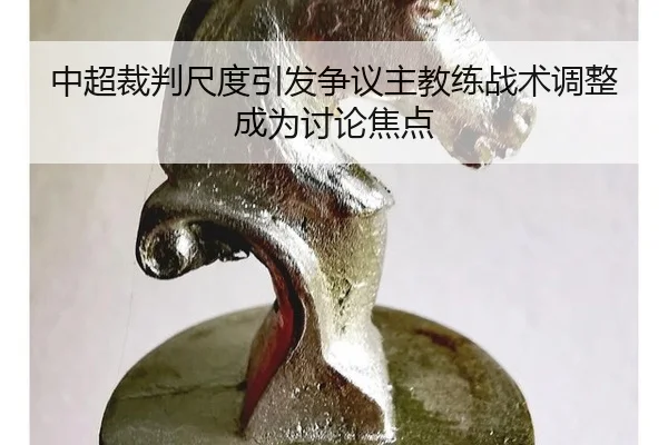 zhong-chao-cai-pan-chi-du-yin-fa-zheng-yi-zhu-jiao-lian-zhan-shu-tiao-zheng-cheng-wei-tao-lun-jiao-dian-2-805.jpg